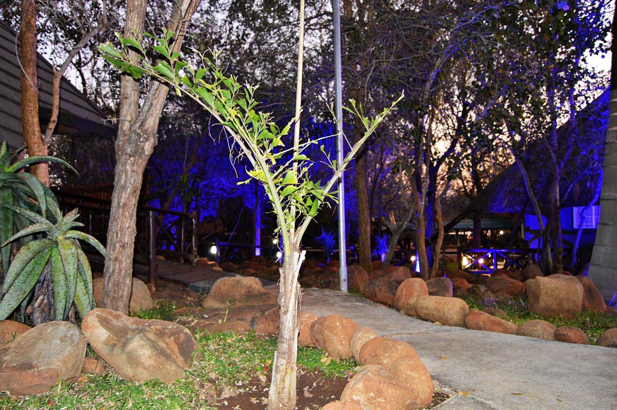Royal Marlothi Kruger Safari Lodge And Spa Marloth Park Exterior photo